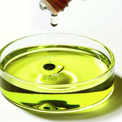 Chrysanthemum Indicum - Wild Chrysanthemum Flower essential oil 