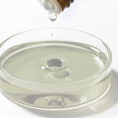 Camellia sinensis - White Tea Absolute