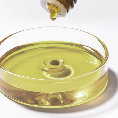 Ormensis Multicaulis - Chamomile Wild Maroc essential oil