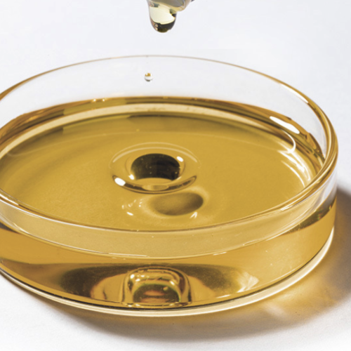 Nelumbo Nucifera - White Lotus Absolute