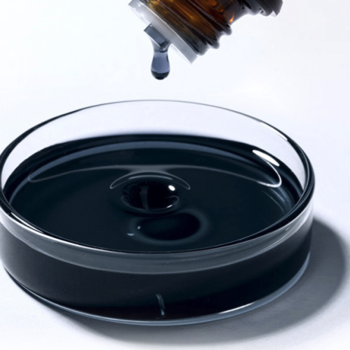 Evernia prunastri - Oakmoss (Absolute)