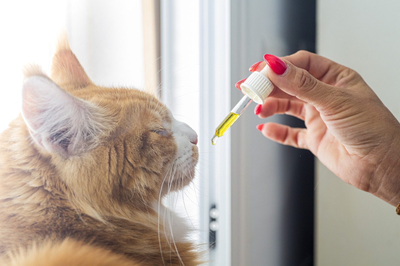 essential oil dropper 1
