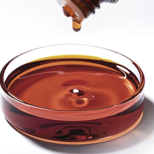 Aquilaria malaccensis - Indian Agarwood oil