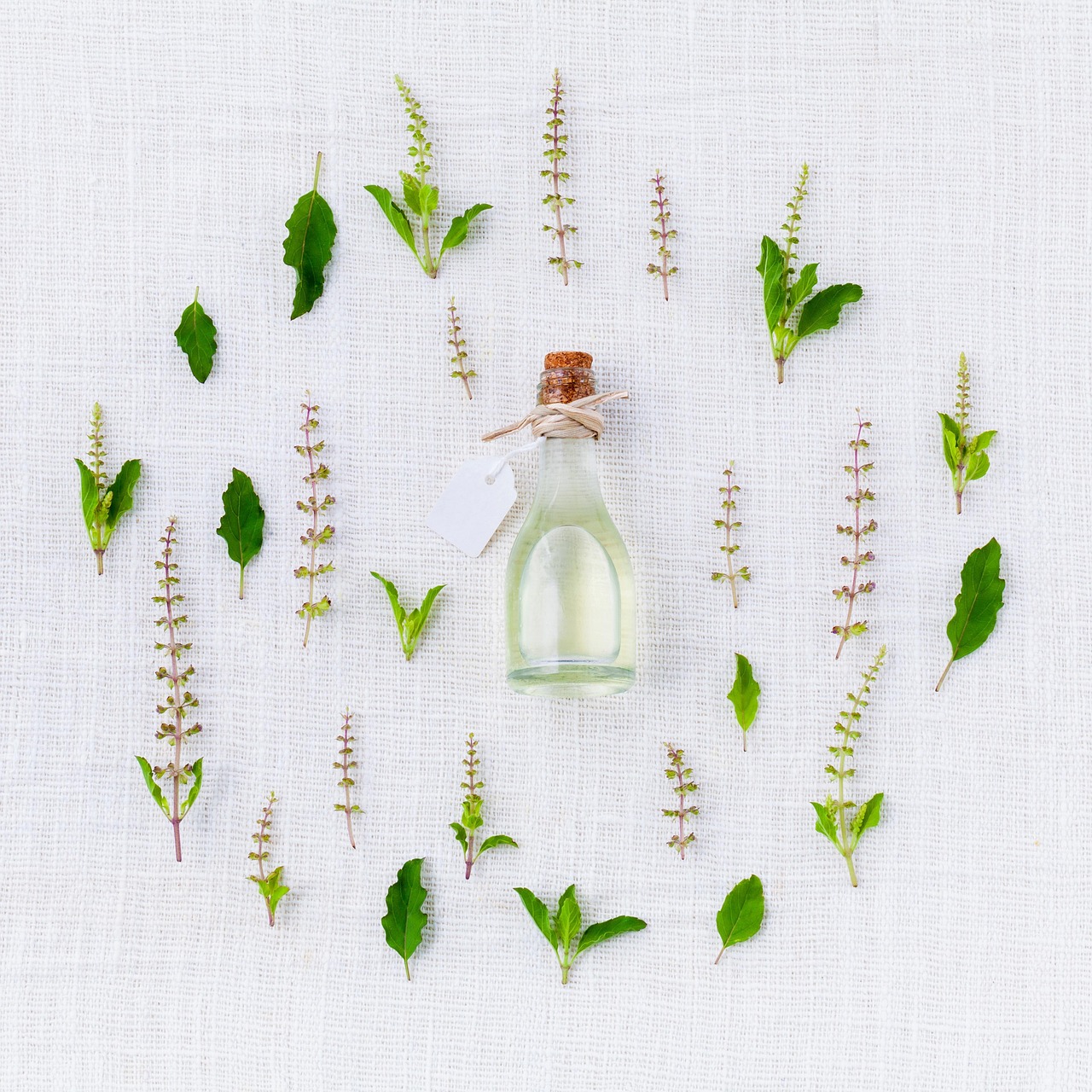 absolute oil botanicals