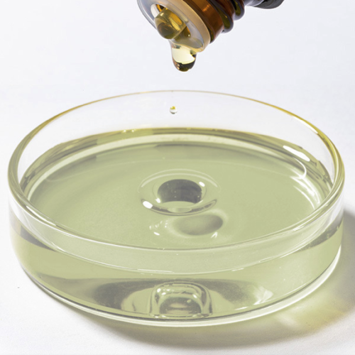 Daucus carota - Carrot Seed essential oils